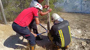 Şanlıurfa'da orman yangını kontrol altına alındı