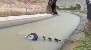 Malatya'da traktör kanala uçtu, sürücü son anda kurtuldu