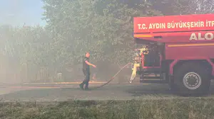 Aydın'da kuru ot yangını hayvan ağılına sıçradı