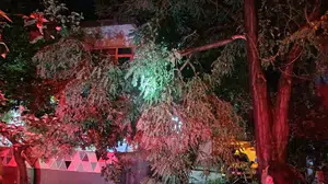 Erdek’te fırtına ve dolu yağışı nedeniyle hasar meydana geldi