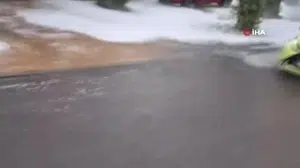 Almanya'da aşırı sıcakların ardından dolu felaketi baş gösterdi