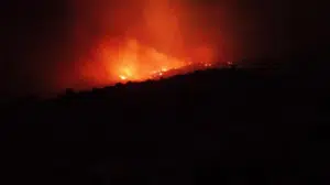 Aydın'da orman yangını gecenin karanlığını aydınlatıyor