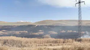 Çorum'da tarlada çıkan yangın kontrol altına alındı