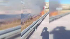 Nallıhan'daki otluk alanda yangın kontrol altına alındı