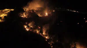 Adıyaman'da orman yangınına neden olan şahıs tutuklandı