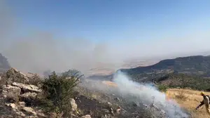 Diyarbakır Hazro'da örtü yangını kontrol altına alındı