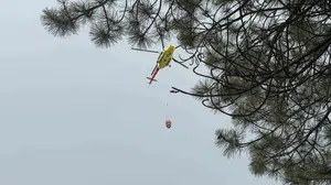 Kütahya'daki orman yangını, helikopter desteğiyle söndürüldü