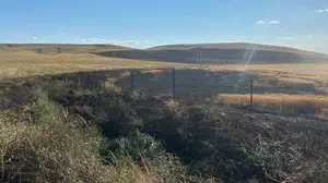 Yozgat'ta ekili arazide çıkan yangın kısa sürede kontrol altına alındı