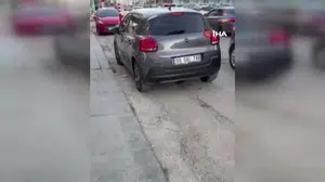 Ankara'da sokakta fare panik yarattı