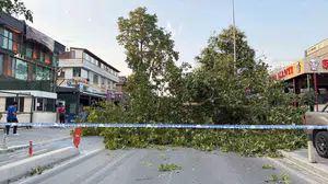 İstanbul'da etkili fırtına, birçok noktada hasara yol açtı