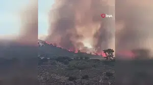 Güney Kıbrıs'ta Rum Milli Muhafız Ordusu'nun eğitim atışları yangına yol açtı
