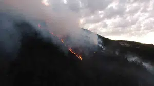 Kastamonu'daki orman yangınında müdahale sürüyor