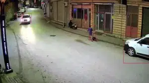 Ordu'da çocuk, sahipsiz köpeklerin saldırısına uğradı