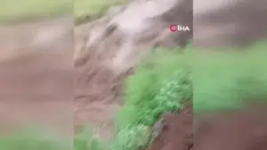 Kağızman'da etkili yağışlar sel ve su baskınlarına yol açtı