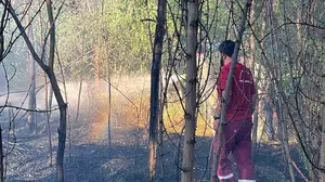 Bingöl'de bahçe yangını orman alanına ulaşmadan kontrol altına alındı