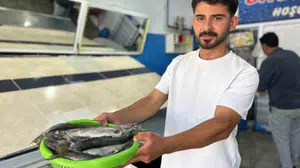İnci kefali av yasağının sona ermesiyle tezgâhlarda