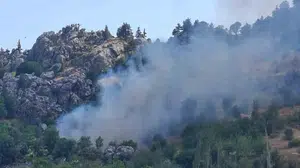 Alanya'da ziraat alanında yangın kontrol altına alındı