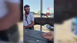 Ankara'da karga masadaki parayı kaparak kaçtı