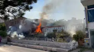 Ahlat'ta meydana gelen yangın paniğe neden oldu