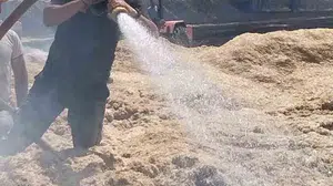 Bingöl'deki arazi yangını tarım alanlarını tehdit etti