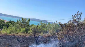 Cunda Adası'nda orman yangını kontrol altına alındı