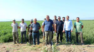 Çiftçiler, manyas gölünden gelen ilaçlı su sorununa çözüm bekliyor