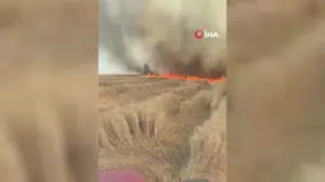 Beypazarı'nda yangın sonucu bin 500 dönüm ekili arazi zarar gördü