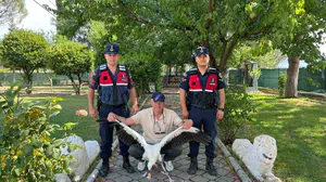 Gördes'te yaralı leylek için vatandaş seferber oldu