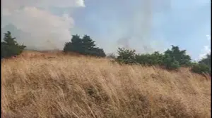 Bingöl'ün yayla köyünde çıkan orman yangını kontrol altına alındı