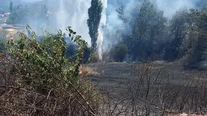 Kuyucak'ta ziraat alanında çıkan yangın ormanı tehdit etmeden kontrol altına alındı