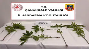 Çanakkale'de 5 ilçede uyuşturucu operasyonu: 15 gözaltı