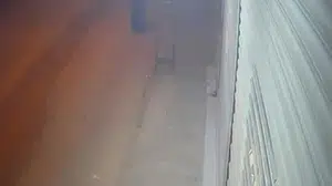 Kadın kılığına giren saldırgan, Adana'da silahlı saldırı gerçekleştirdi