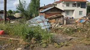 Samsun'da şiddetli sağanak ve dolu tarım alanlarını vurdu