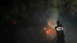 Efeler'deki zeytinlik alanda yangın: 200 zeytin ağacı zarar gördü