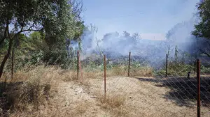 Nazilli'de zeytinlik alanda çıkan yangın ekipler tarafından kontrol altına alındı