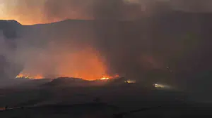Adıyaman'da ormanlık alanda yangın kontrol altına alındı