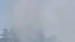 Düzce’de orman yangını etkili müdahaleyle söndürüldü
