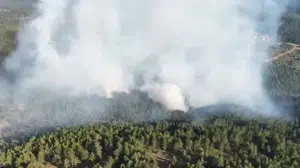 Kastamonu'da orman yangını başarıyla kontrol altına alındı