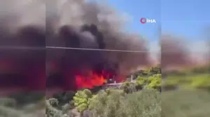 Salamina Adası'ndaki orman yangınında yaşlı çift hayatını kaybetti