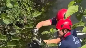 Çalılıklarda mahsur kalan balıkçıl kuşunu itfaiye ekipleri kurtardı