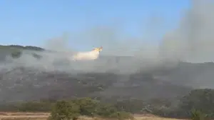 Balıkesir'deki orman yangını hızlıca kontrol altına alındı