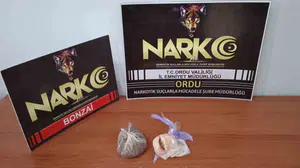 Ordu'da narkotik operasyonunda 3 kişi tutuklandı