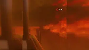 Nevada'daki orman yangını büyük can ve mal kaybına yol açtı
