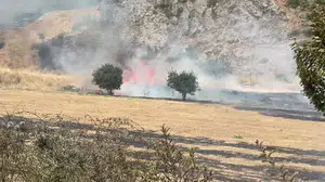 Tokat'ta çıkan yangın, süratle kontrol altına alındı