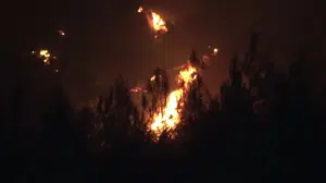 Çanakkale'de orman yangınına müdahale devam ediyor