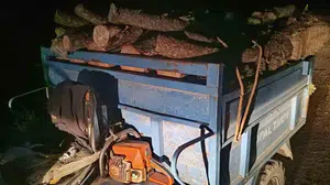Antakya ormanında usulsüz ağaç kesimi yapan kişiler yakalandı