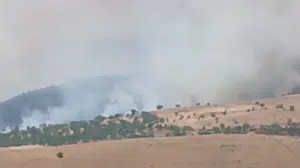 Pütürge'de orman yangınına müdahale sürüyor