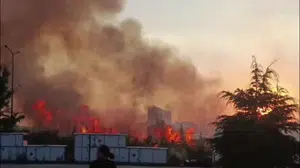 Ankara'nın Etimesgut ilçesinde ağaçlık alanda çıkan yangın paniğe neden oldu