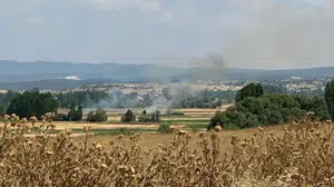 Tavşanlı'da tarım arazisinde yangın: 10 dönüm zarar gördü