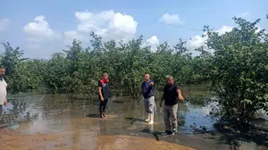 Çarşamba'da sağanak sonrası hasar tespit çalışmaları hız kazandı